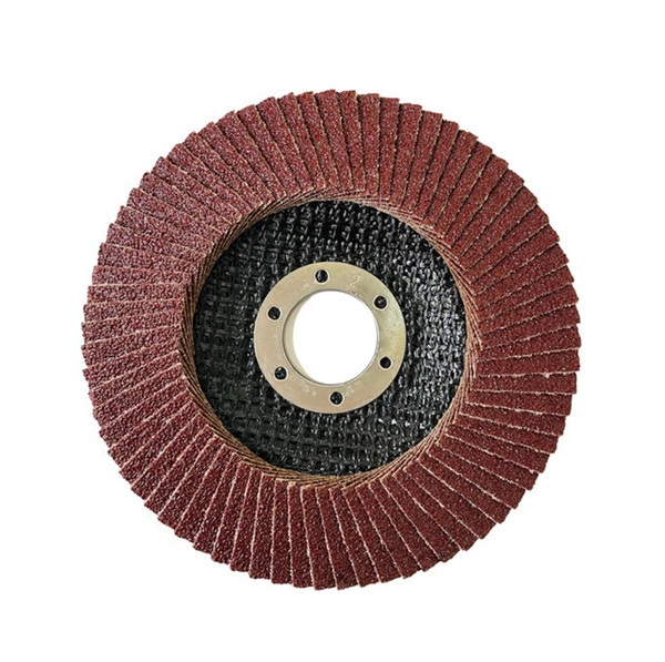 Disco Lamellare Supporto in Nylon Grana 40 115x22mm